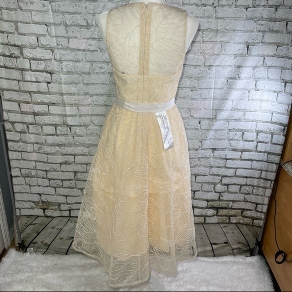 BCBG Off White Sheer Yoke MIDI Dress 4 - Picture 8 of 16